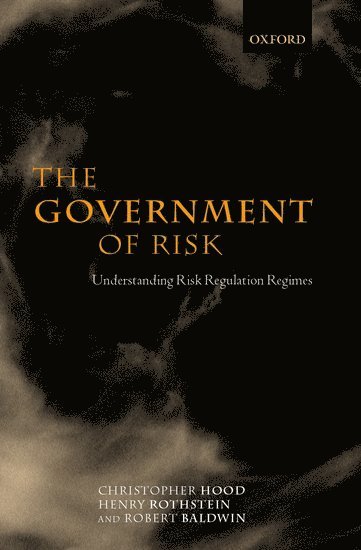 The Government of Risk 1