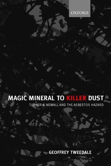 bokomslag Magic Mineral to Killer Dust