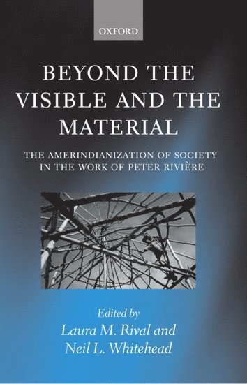 Beyond the Visible and the Material 1