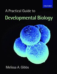bokomslag A Practical Guide to Developmental Biology