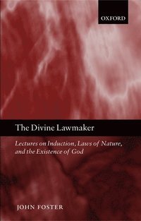 bokomslag Divine Lawmaker