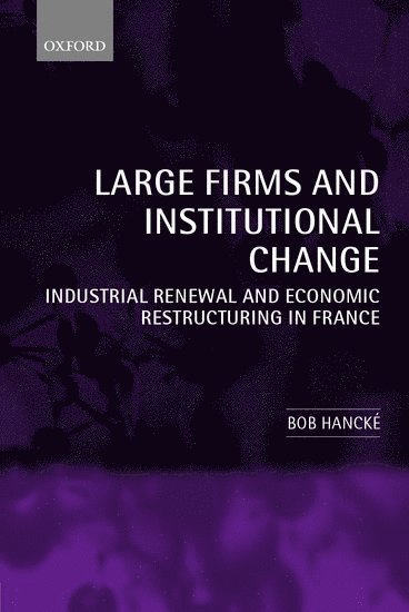 bokomslag Large Firms and Institutional Change