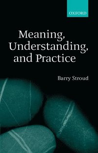 bokomslag Meaning, Understanding, and Practice