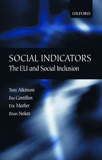 bokomslag Social Indicators