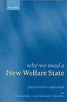 bokomslag Why We Need a New Welfare State