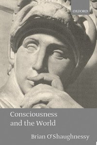 bokomslag Consciousness and the World