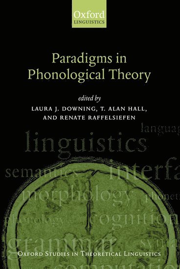 bokomslag Paradigms in Phonological Theory