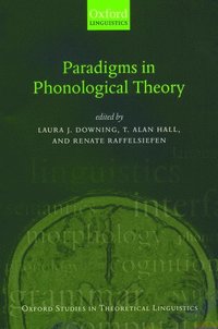 bokomslag Paradigms in Phonological Theory