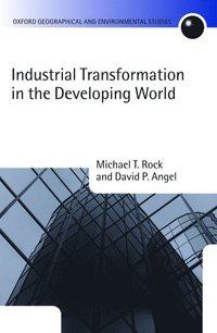 bokomslag Industrial Transformation in the Developing World