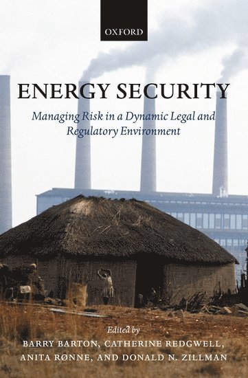 bokomslag Energy Security