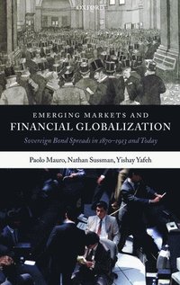 bokomslag Emerging Markets and Financial Globalization