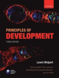 bokomslag Principles of Development