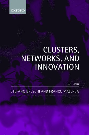 bokomslag Clusters, Networks and Innovation