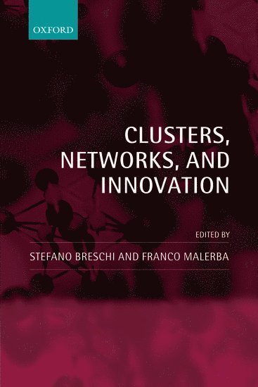 bokomslag Clusters, Networks, and Innovation