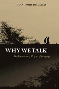 bokomslag Why We Talk