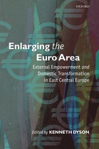 bokomslag Enlarging the Euro Area