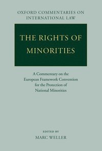 bokomslag The Rights of Minorities