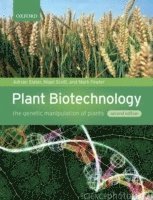 bokomslag Plant Biotechnology