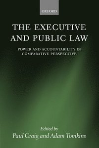 bokomslag The Executive and Public Law