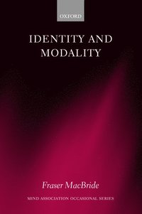 bokomslag Identity and Modality