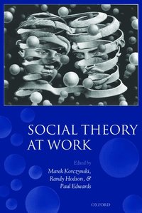 bokomslag Social Theory at Work