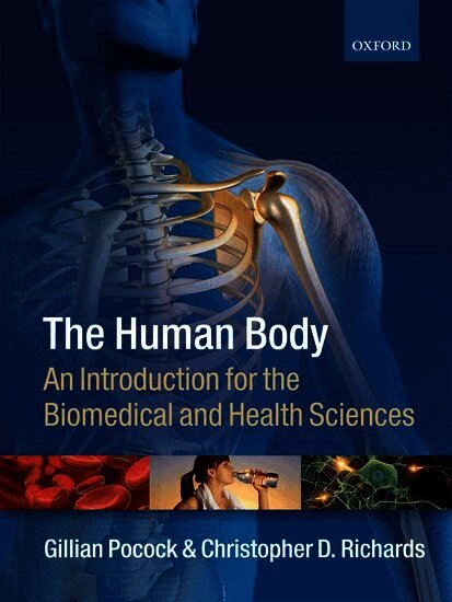 Human Body