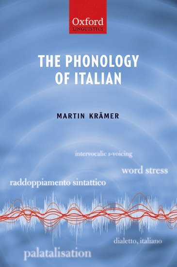 bokomslag The Phonology of Italian