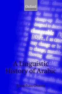 bokomslag A Linguistic History of Arabic