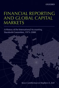 bokomslag Financial Reporting and Global Capital Markets