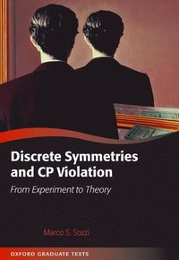 bokomslag Discrete Symmetries and CP Violation