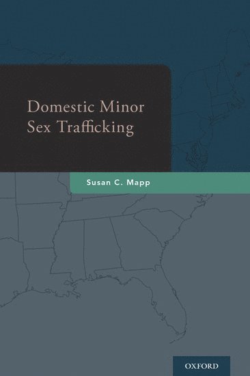 bokomslag Domestic Minor Sex Trafficking