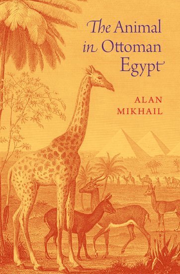 bokomslag Animal in Ottoman Egypt