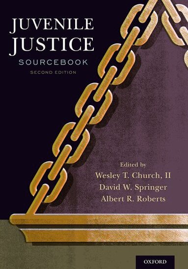 Albert R Roberts, Wesley T Church, II, David Springer - Juvenile Justice Sourcebook, Inbunden