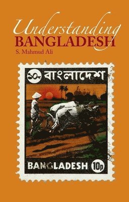 bokomslag Understanding Bangladesh
