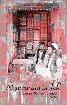 bokomslag Afghanistan in Ink: Literature Between Diaspora and Nation