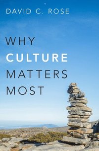 bokomslag Why Culture Matters Most