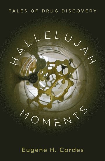 bokomslag Hallelujah Moments