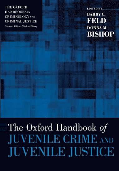 bokomslag The Oxford Handbook of Juvenile Crime and Juvenile Justice
