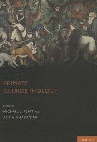 bokomslag Primate Neuroethology