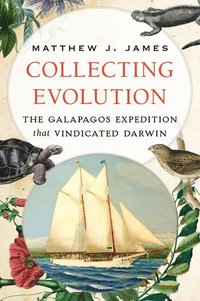 bokomslag Collecting Evolution