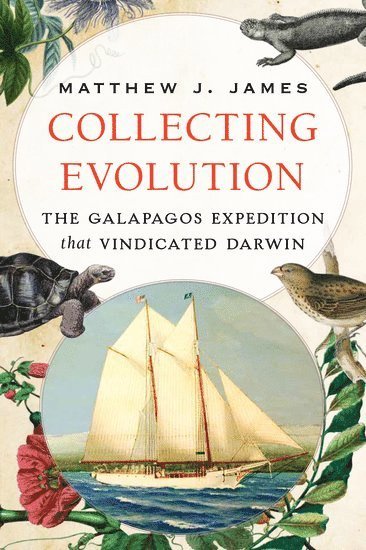 Collecting Evolution 1