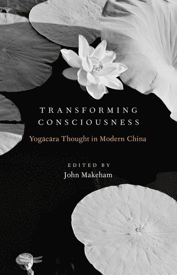 Transforming Consciousness