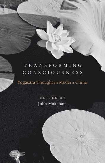 Transforming Consciousness