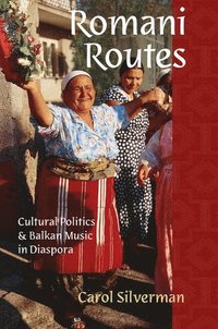 bokomslag Romani Routes