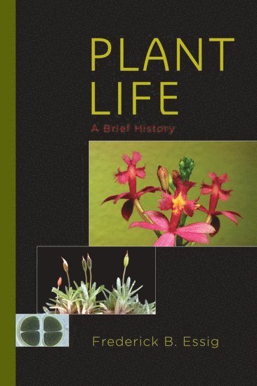 Plant Life 1