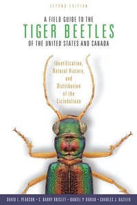 bokomslag A Field Guide to the Tiger Beetles of the United States and Canada