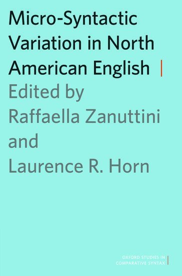 bokomslag Micro-Syntactic Variation in North American English