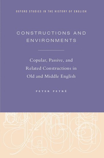 bokomslag Constructions and Environments