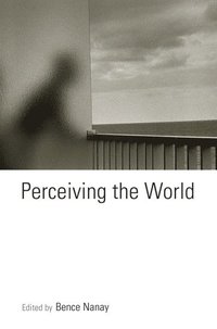 bokomslag Perceiving the World