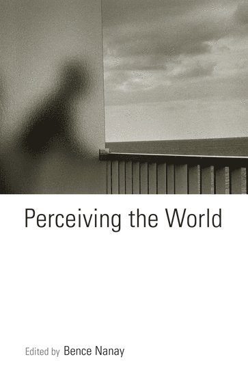 Perceiving the World 1